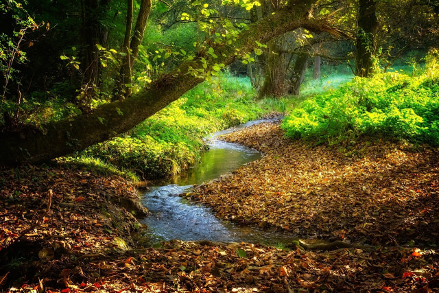 Sortie pédestre : Le Chemin de la Vilaine - CPIE Loire Océane - Férel 