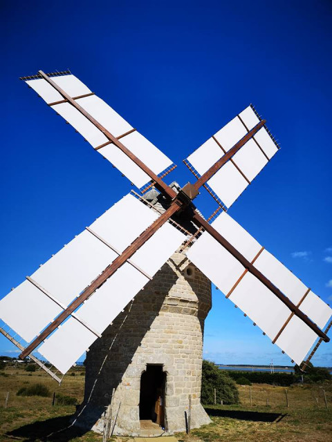  Visite du Moulin de la Falaise - Saveurs d'octobre - Batz-sur-Mer