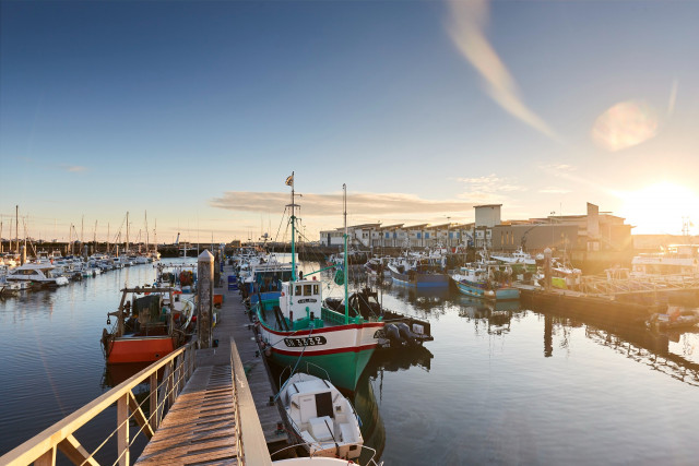 Visite guidée du Port de La Turballe