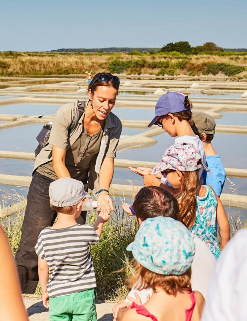 Visite scolaire des marais salants