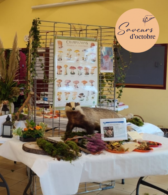 Week-end Champignons : l'exposition - Saveurs d'Octobre