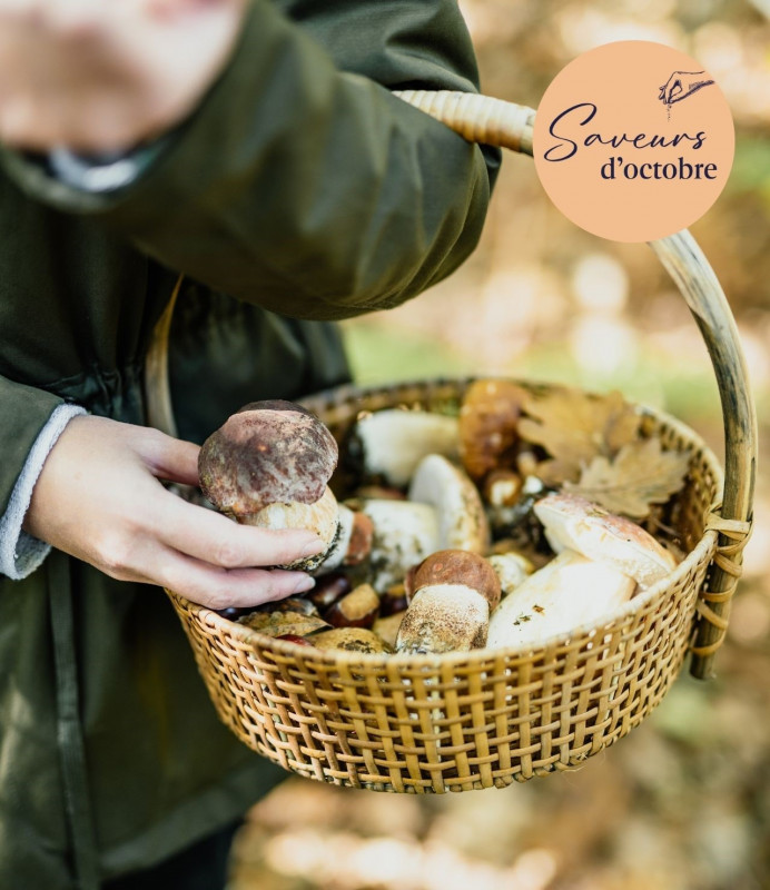 A la découverte des champignons - Saveurs d'octobre - La Roche-Bernard