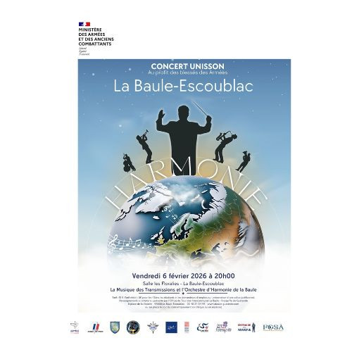 affiche-format-ic-ne-11-2599487