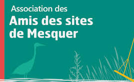 amis-des-sites-2595085