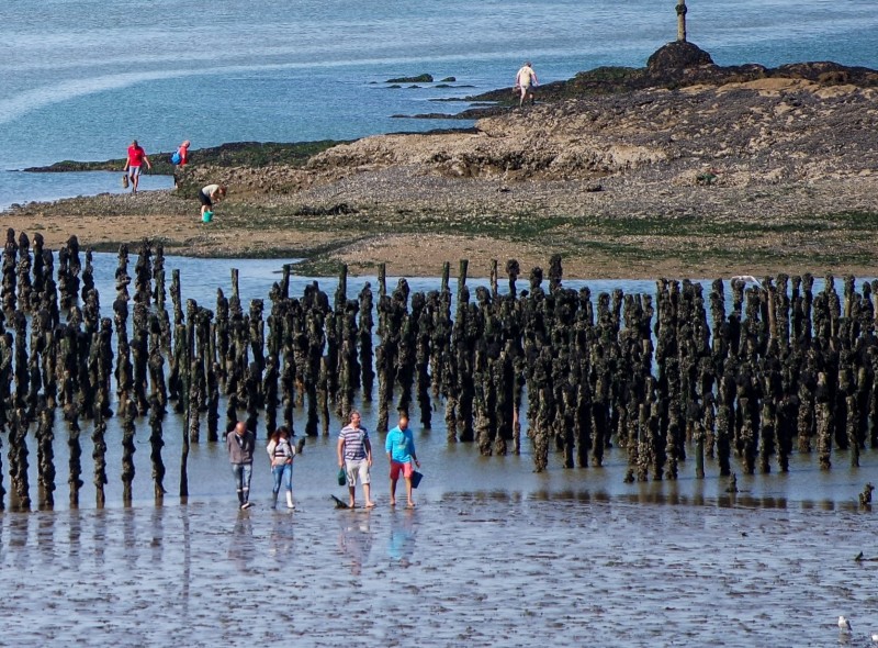 asserac-pen-be-office-de-tourisme-la-baule-presqu-ile-de-guerande-2-1304270