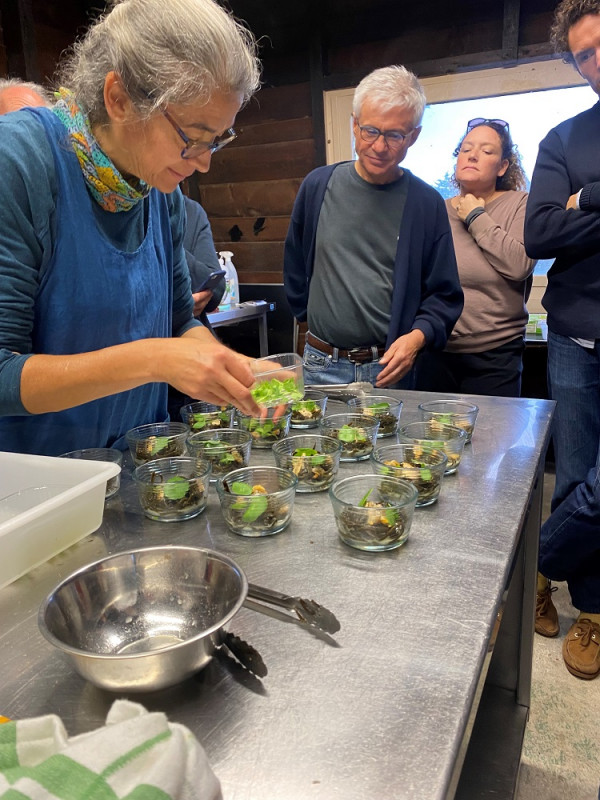 Atelier apprendre à cuisiner les algues alimentaires Le Croisic