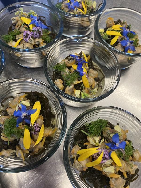 Atelier apprendre à cuisiner les algues alimentaires Le Croisic