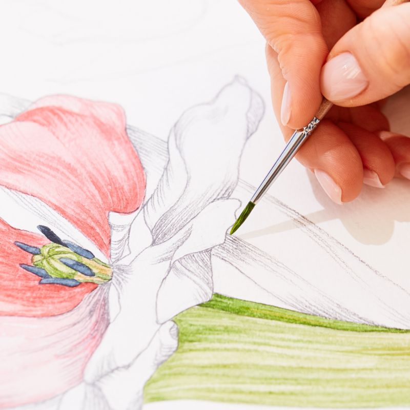 Atelier carnet de voyage à l'aquarelle
