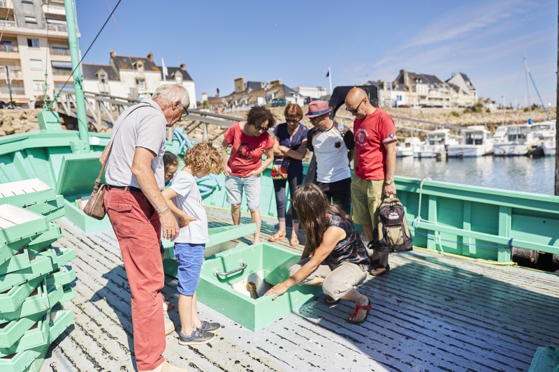 La Turballe - Guided tour of an old sardine fishing boat - 45 min