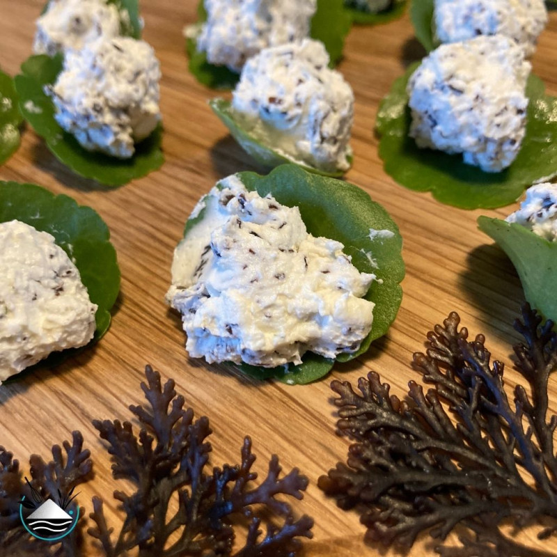 Bouchées de Vénus - Atelier cuisine sauvage - Saint Lyphard - Entre Sel et Tourbe
