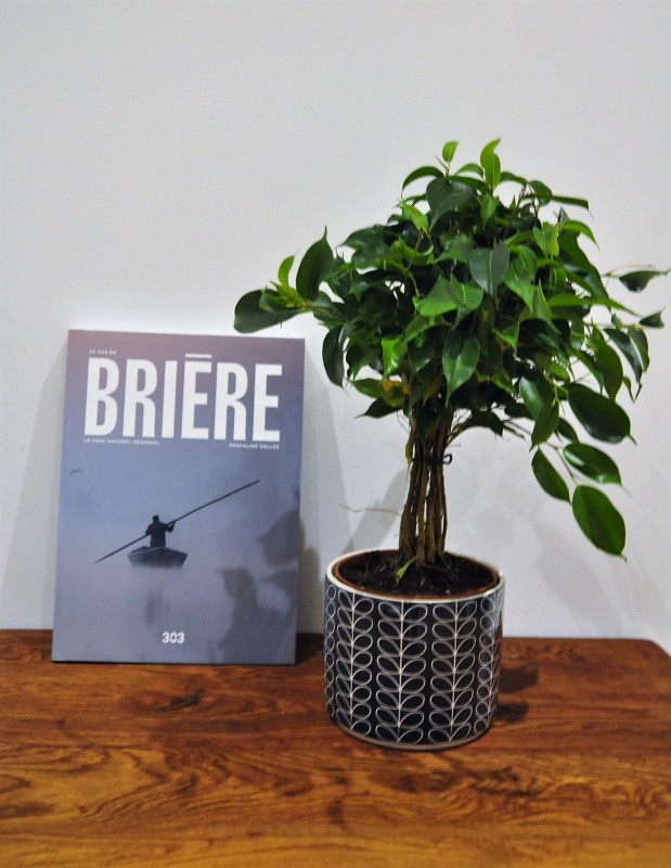 Boutique en ligne - 50 ans en Brière - Editions 303 - Office de tourisme La Baule Presqu'île de Guérande