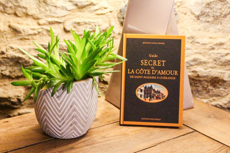 Livre 'Guide secret de la Côte d'Amour'