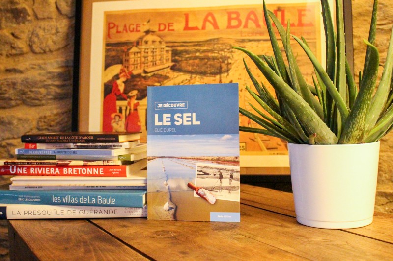 Book ' Je découvre le sel'