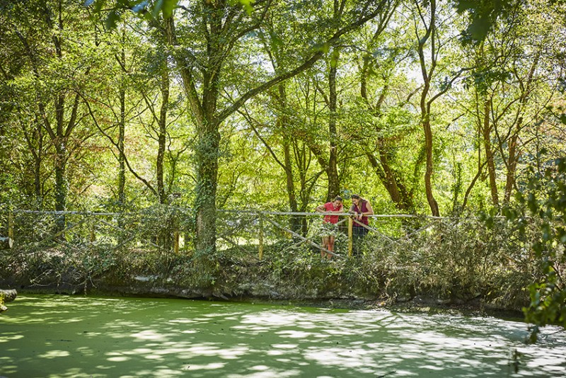 Kerhinet - The Natural Park of Brière and its ‘Briérons’ - 1h