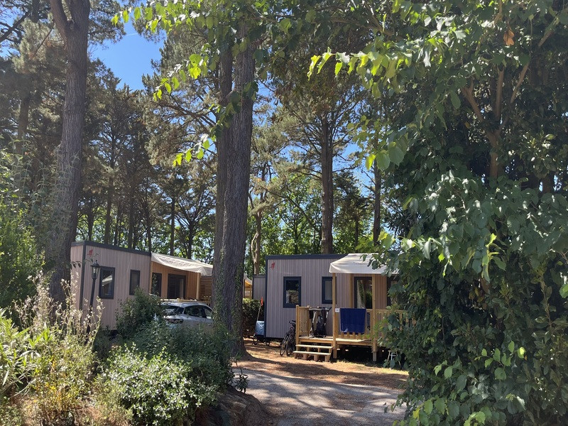 Camping du Petit Bois - Mesquer-Quimiac