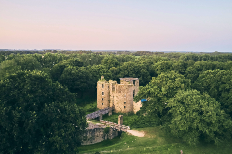 Chateau de Ranrouët 
