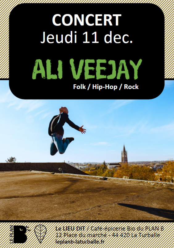 Concert : Ali Veejay - La Turballe