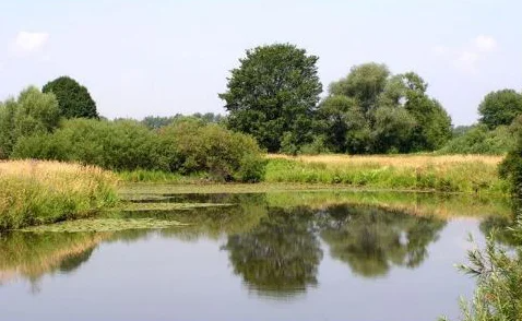 Conférence : l'eau H2O - La Turballe