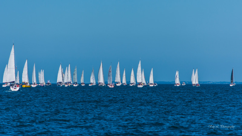 croisiere pen bron - arzal - la turballe
