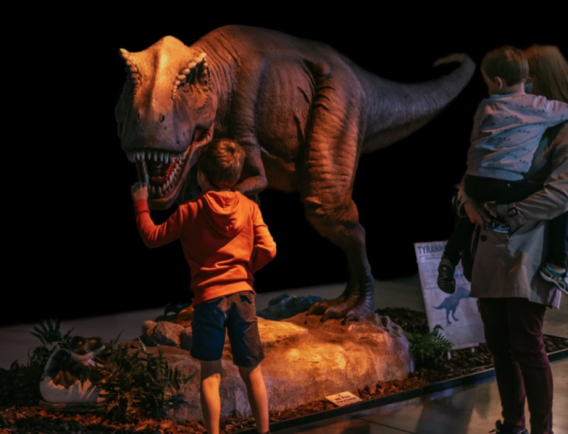 DINO EXPO : Une immersion saisissante à la rencontre des dinosaures