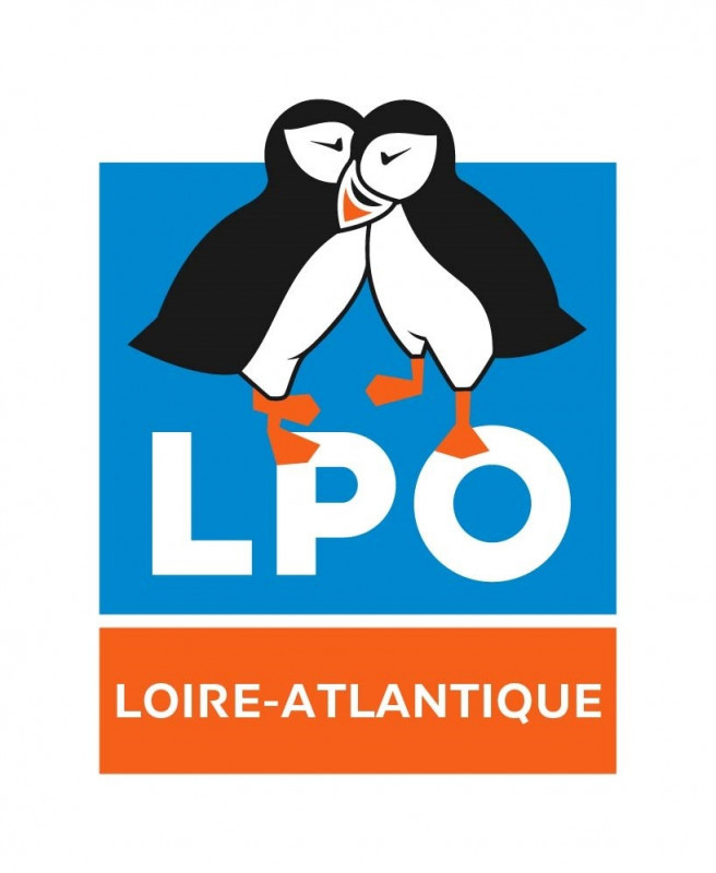 EuroBirdwatch - LPO Loire-Atlantique - Le Croisic