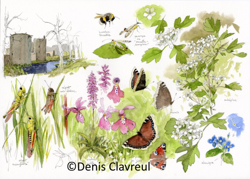 exposition-au-fil-des-saison-denis-clavreul-1-2537941