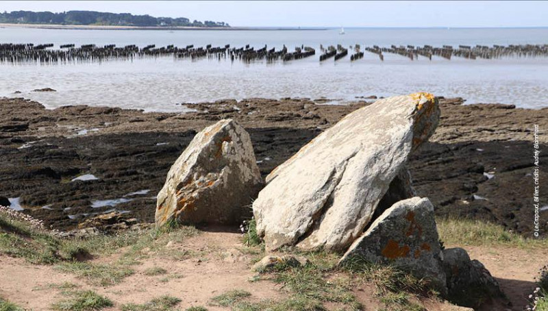 Exposition : Il y a 6000 ans le long de la Vilaine - Médiathèque de Pénestin