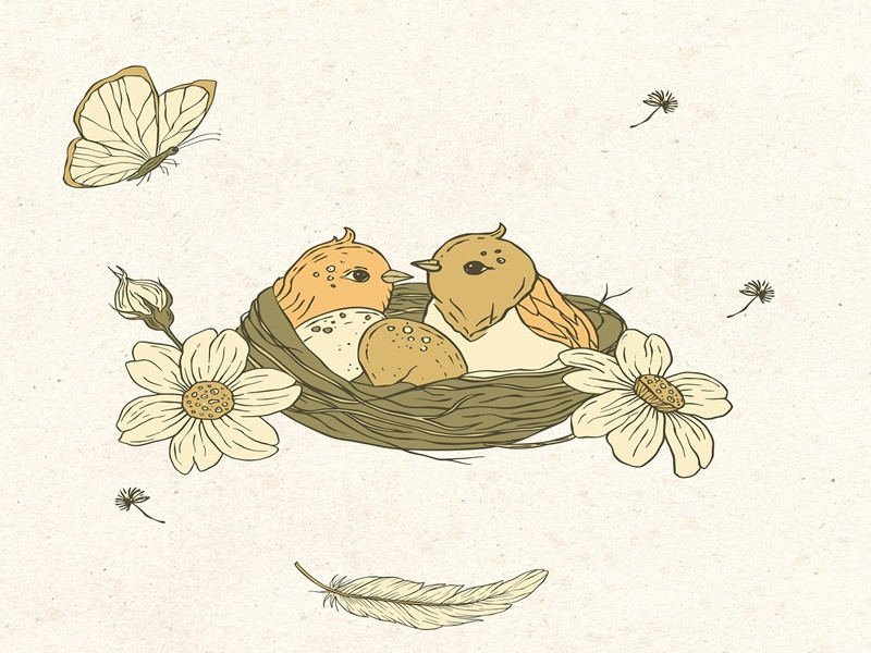 fleurs-et-oiseaux