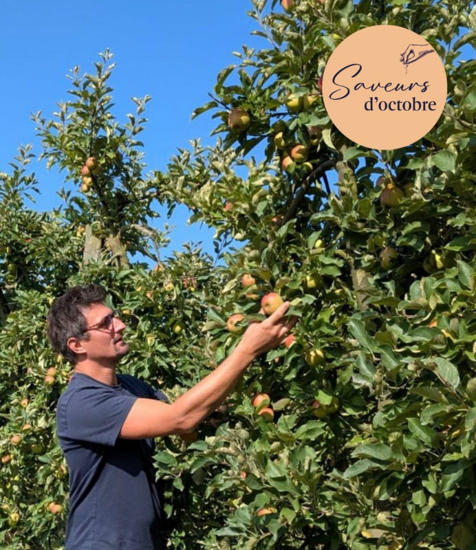 Herbignac - À la découverte du verger, cueillette et dégustation de pommes - Saveurs d'octobre
