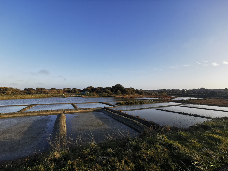 img-20220222-175307-2489354 img-20220222-175307-2489354