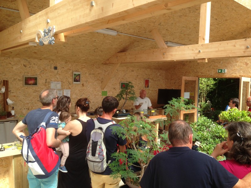 Tropicarium Bonsaï, la serre-le jardin exotique