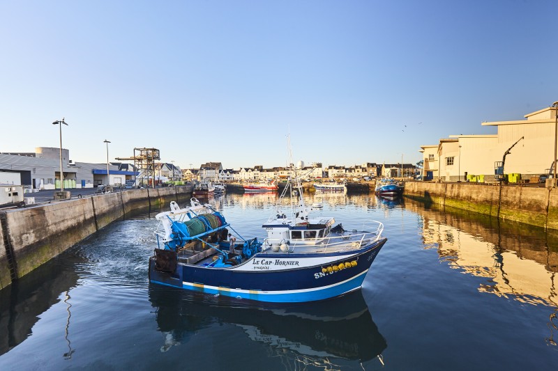 La Turballe - Guided tour of the port - 1h