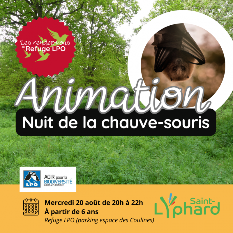 Les rdv refuge LPO St Lyphard : nuit de la chauve-souris