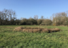 Marche le long du ruisseau de l'Auvergnac - Herbignac