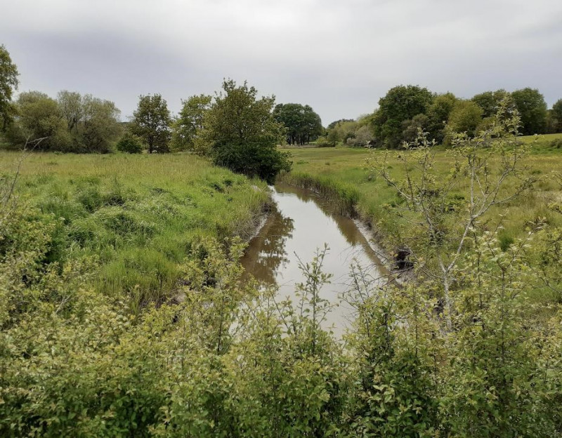 Marche le long du ruisseau de l'Auvergnac - Herbignac