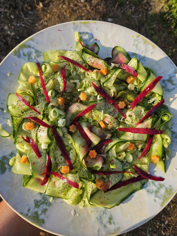 Atelier culinaire menu végétarien - ST MOLF