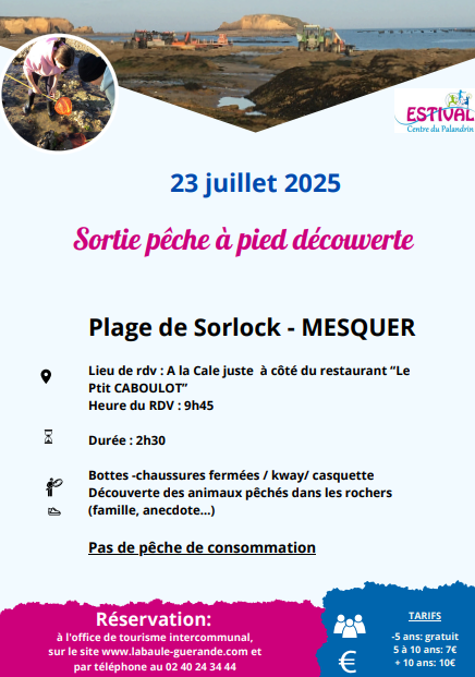 Mesquer - Sortie Pêche à pied - 2h30