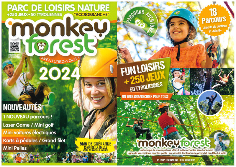 monkey-forest-accrobranche-saint molf