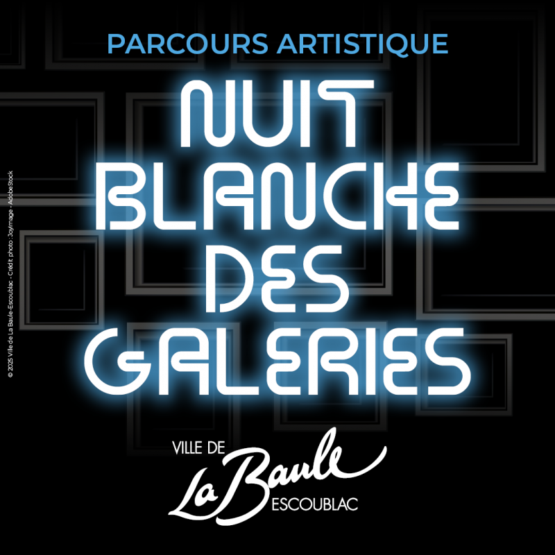 nuit-blanche-des-galeries-2025