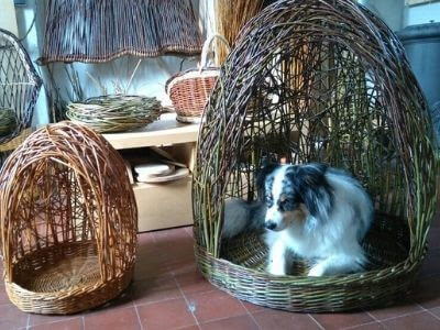 olivier hure osiericulteur vannier panier pour chien - village de Kerhinet à Saint-Lyphard