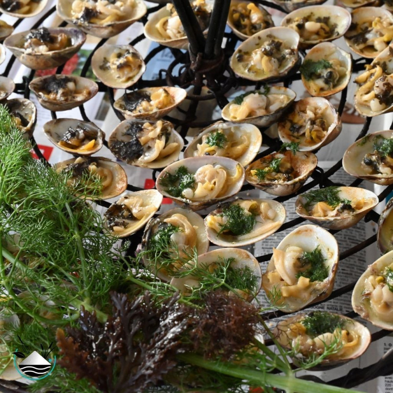 palourdes - Atelier cuisine sauvage - Saint Lyphard - Entre Sel et Tourbe