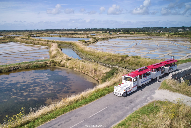 petit train dans les marais salants