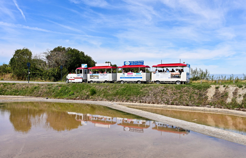 Petit train des marais salants - La Turballe