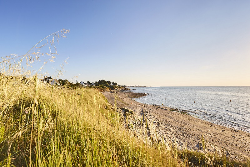 Port au Loup - Piriac sur Mer