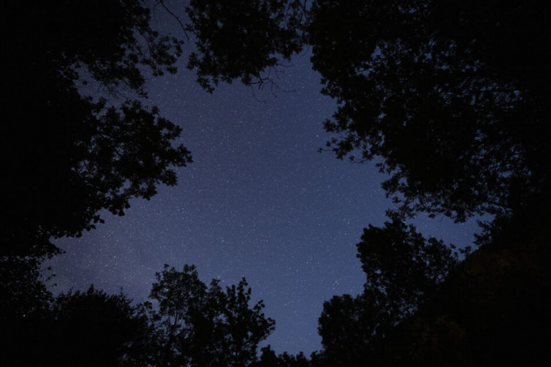 Que nous réserve le paysage nocturne ce soir ? - Guérande