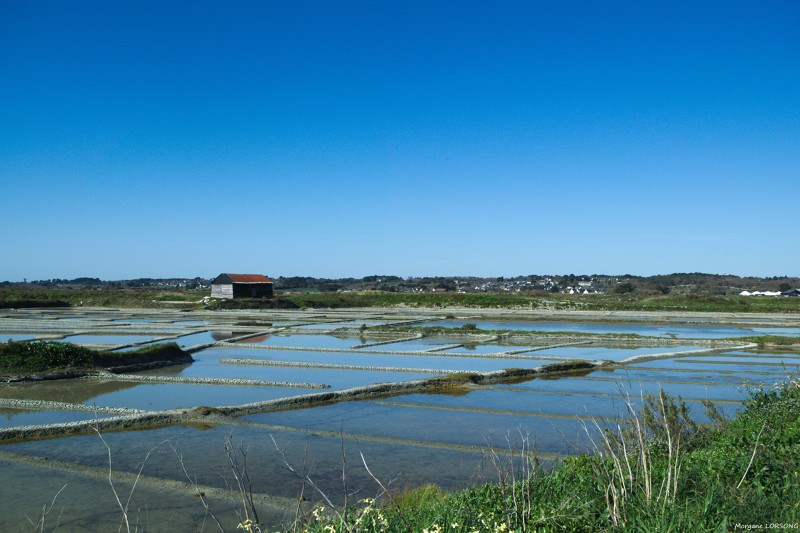  Randonnée au cœur des marais - Guérande