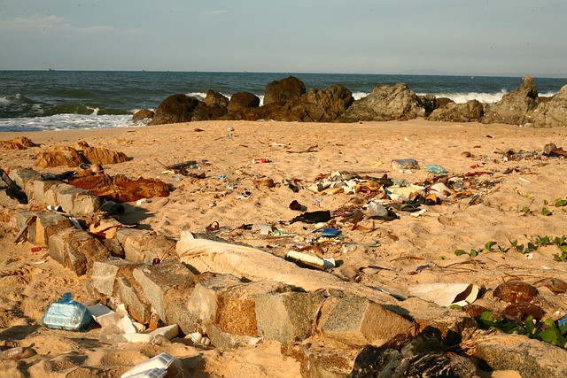 Recensement déchets échoués plage St Michel Piriac biodiversité