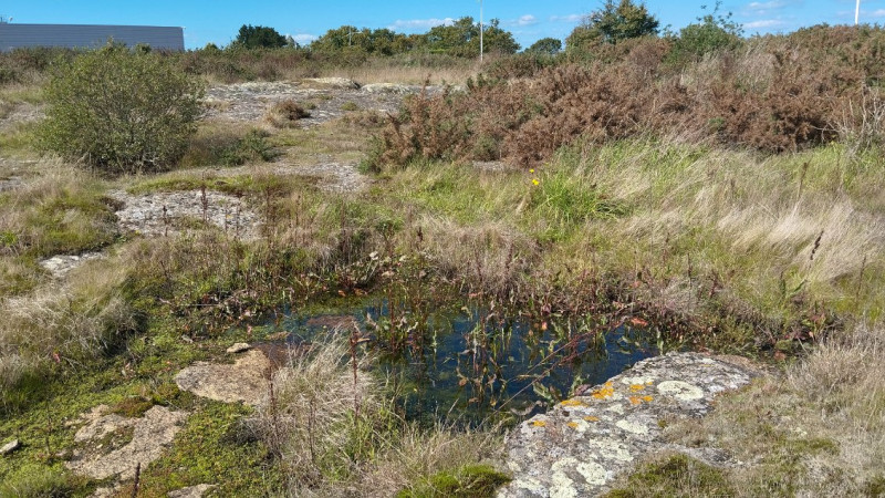 Rejoignez le chantier participatif de Villejames - Guérande