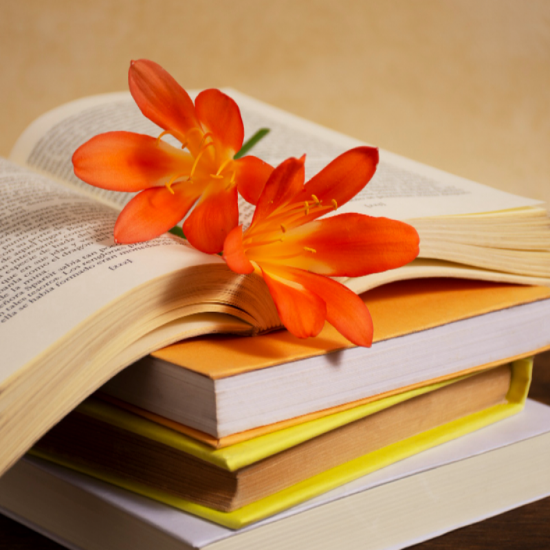 Rencontre poétique - © Mairie Le Croisic Rencontre poétique