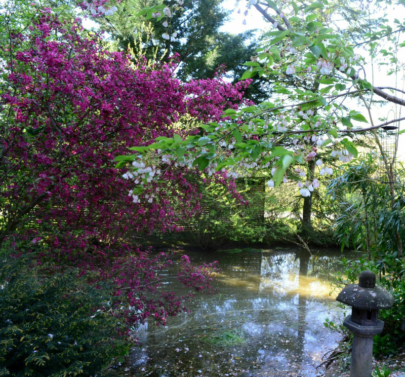 Rendez-vous aux jardins - Le Jardin de Lumbini - Saint-Lyphard